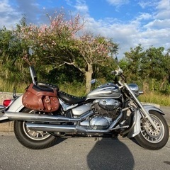 SUZUKIイントルーダークラシック400の画像