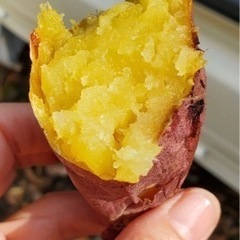 【交渉中】🍠✨最終日‼️〆切2月20日まで掲載‼️移動販売‼️最終値下げ価格‼️の画像