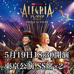 アレグリア チケット 5月19日 SS席2枚
