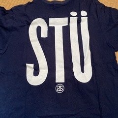LサイズSTUSSYTシャツの画像