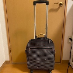 ATSUKI ONISHI キャリーケース スーツケース アツキオオニシ ドットキャリーの画像