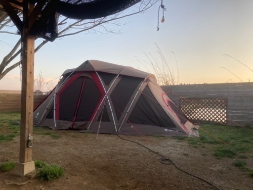 リビングシェルロング