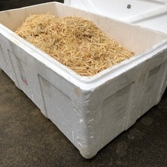 大量の木材の削りかす　キャンプや畑にの画像
