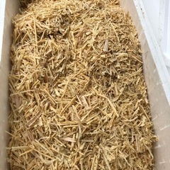 大量の木材の削りかす　キャンプや畑にの画像