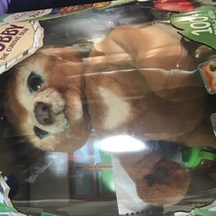テディーベア　ファーリアルフレンズ　カビー　新品同様　値下げできます