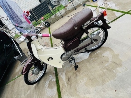 63f2f24d7c3706038d98cf98