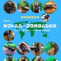 🔺第5弾‼︎『カブトムシ・クワガタムシの森』