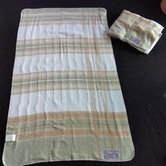 洗える電気敷き毛布　2枚セット