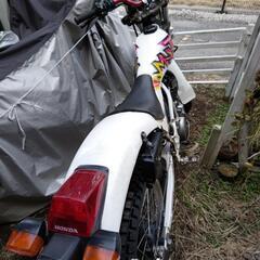 tlm220rの画像