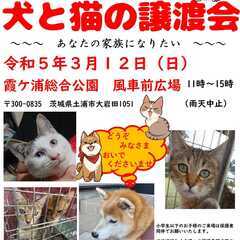 犬と猫の譲渡会！～あなたの家族になりたい～