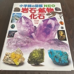 図鑑の画像