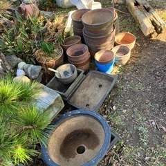 植木鉢、枕木、椅子二脚