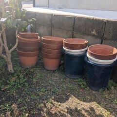植木鉢あげます。