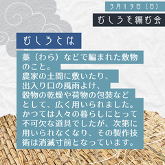 むしろを編む会  - ワークショップ