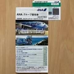 郵送対応可！ANA 株主優待券