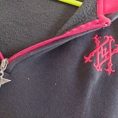 Avirex hoodyの画像