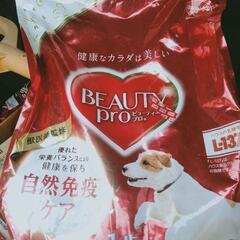 ドッグフードBeautypro5Kg＋食品類1000円相当分