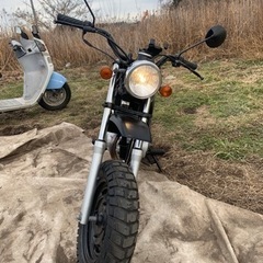 ホンダエイプ50 キャブ車