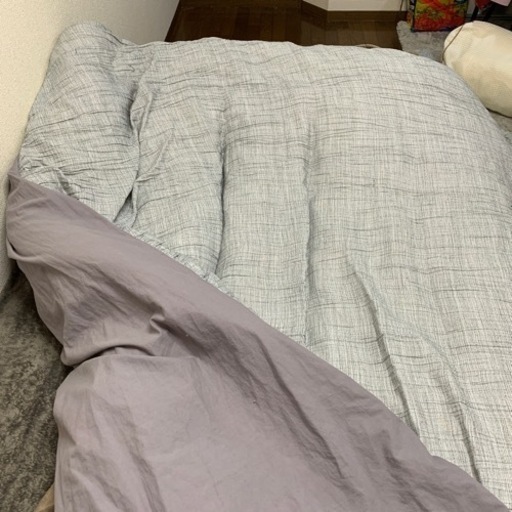 【極美品】アレルギー対応ダブル掛け布団