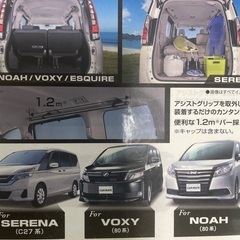 引き取り限定　カーメイト　サイドバー　NS102の画像