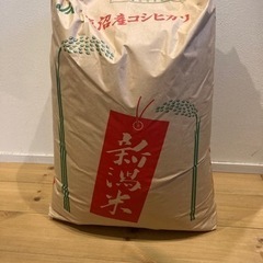 群馬県 前橋市の玄米の中古が安い！激安で譲ります・無料で