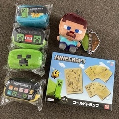 【決まりました】マイクラ　セット