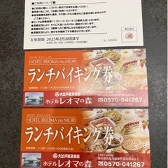 購入者様が決まりました。　レオマの森　ランチバイキング券　3枚