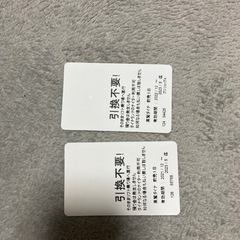 高鷲スノーパークダイナランド　共通リフト券2枚の画像