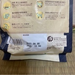 ニュートロ キャットフード➕おまけつきの画像
