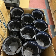 中古品植木鉢　15センチ