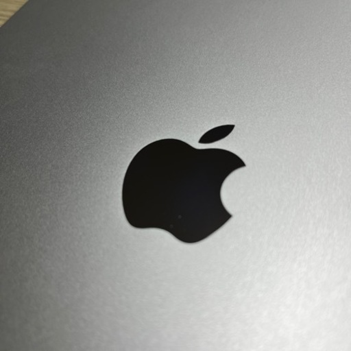 ipad pro M1 11インチ　256GB シルバー