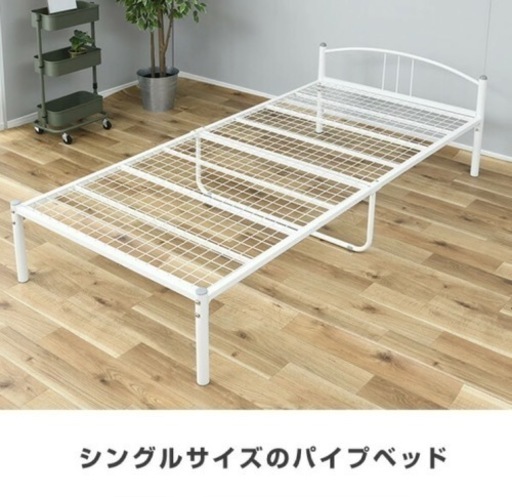 決定しました！