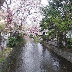 《無料》一緒に英語 勉強しませんか？