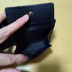 POLO財布の画像