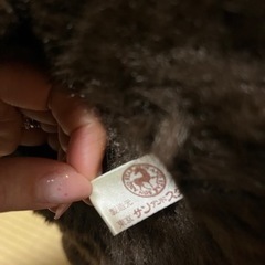 サンアンドスターレア品ツキノワグマぬいぐるみ (たかはし) 用賀
