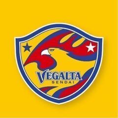 【本日2/26試合】ベガルタ仙台vs栃木ＳＣ戦チケット2枚セット...