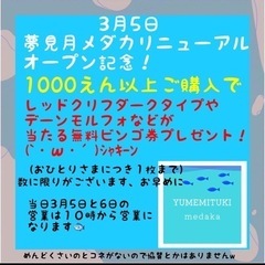夢見月メダカリニューアル移転オープン　めだか