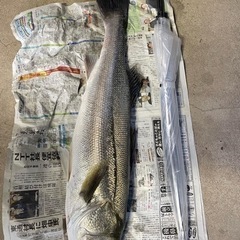 釣り仲間 - つがる市
