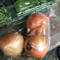 【生活応援】玉葱　中玉2個　 1袋