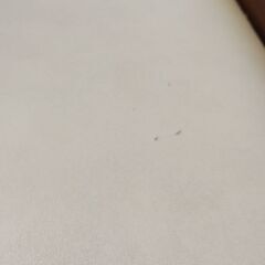 学習用  椅子の画像