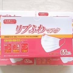 【未開封品】不織布マスク/1年分の画像