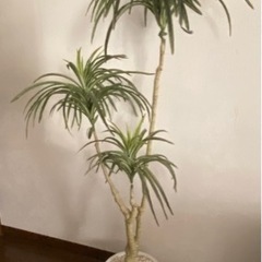 人工観葉植物