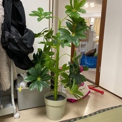 造花　フェイクグリーン　観葉植物