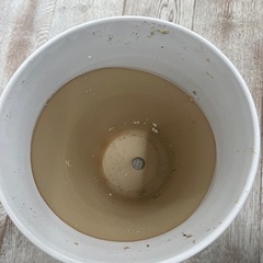 植木鉢・鉢カバー　差し上げますの画像