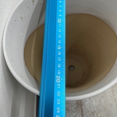 植木鉢・鉢カバー　差し上げますの画像