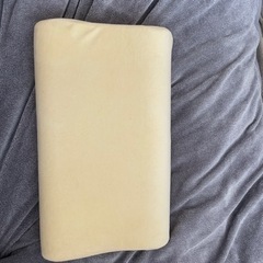 トゥルースリーパー枕