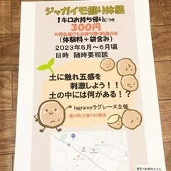 ジャガイモ掘り体験　空き出ました。6月18日