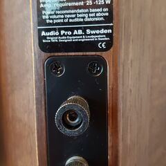audio pro Avanti A.10の画像