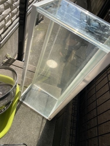 60センチ水槽
