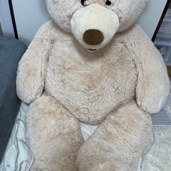 ぬいぐるみの画像